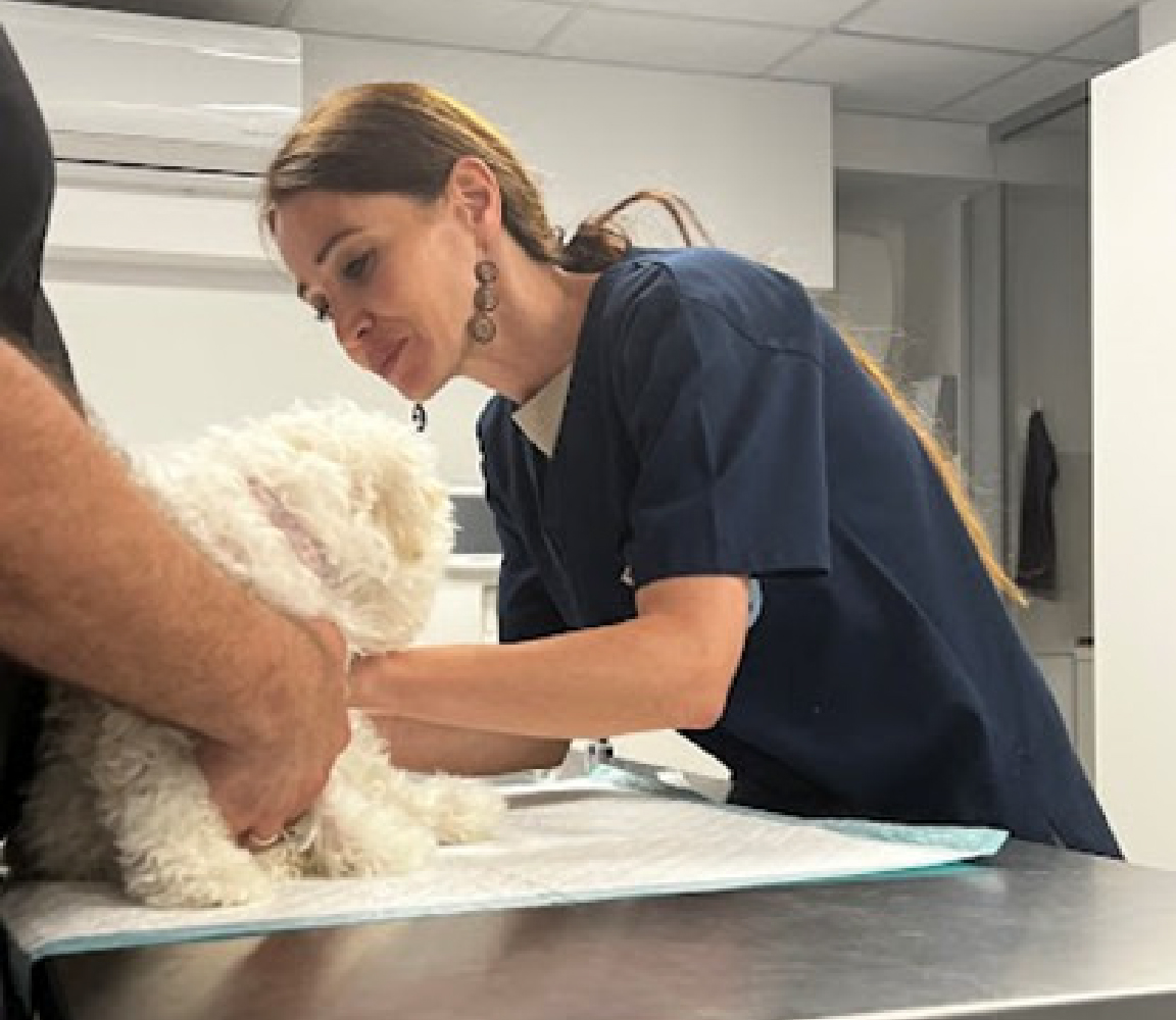 Dr. Vet. Med. Nada Arađan